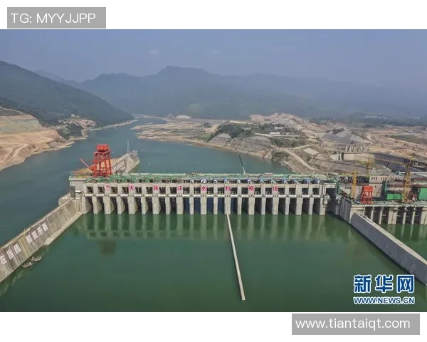 杭州乒乓球队个人能力分析与发展潜力探讨