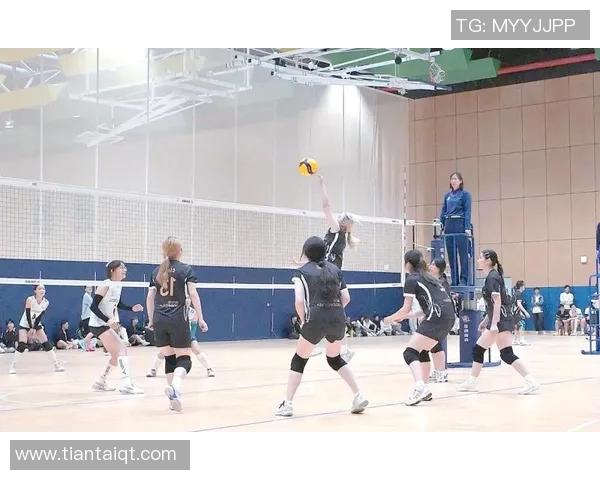 上海排球队比赛经验的创新与变革引发热议