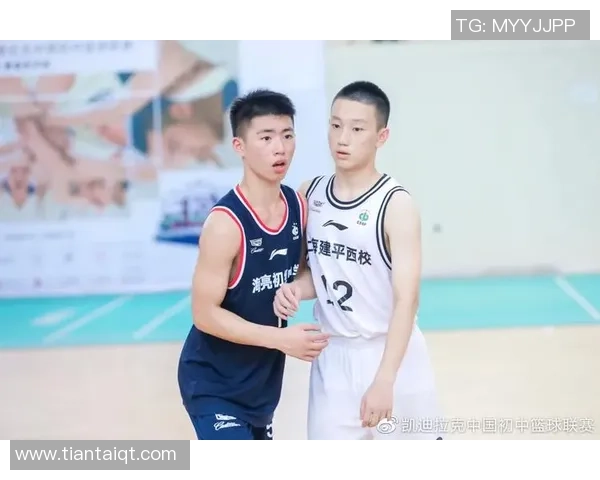 成都篮球队总决赛精彩表现分析与实力评估