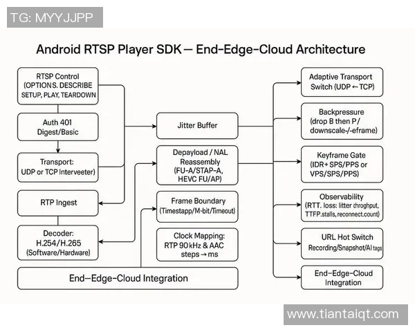 武汉排球队技术解析：从基础训练到战术运用的全面探讨