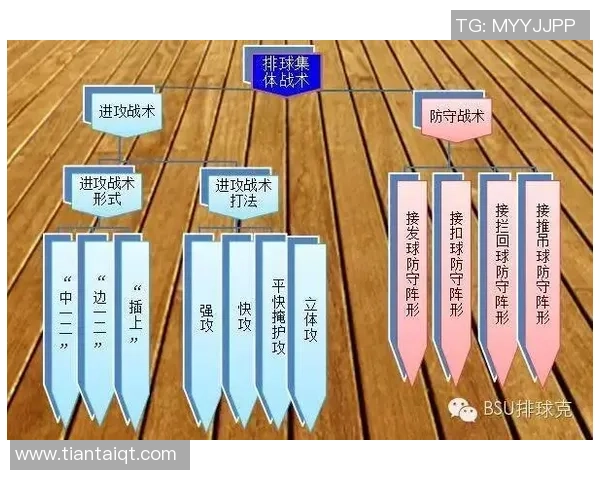 广州排球队在全国锦标赛中的灵活性表现与战术创新分析