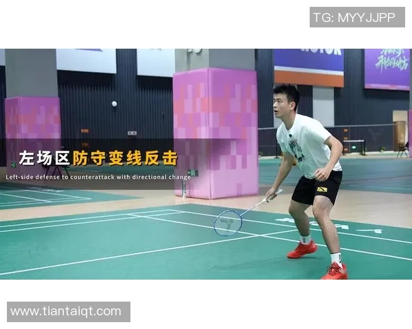 武汉羽毛球队区域防守战术解析与实战应用探讨